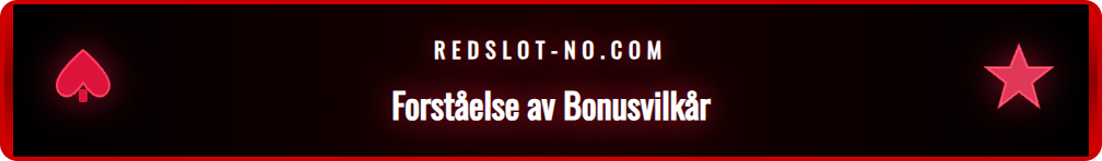 En illustrasjon som viser en spiller som leser bonusvilkår på en PC-skjerm.
