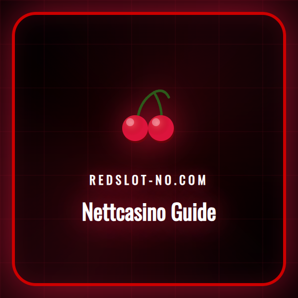En person som leser en guide for nettcasino på en datamaskin.