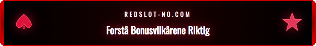 Forstørrelsesglass over de viktigste punktene i Redslots bonusvilkår.