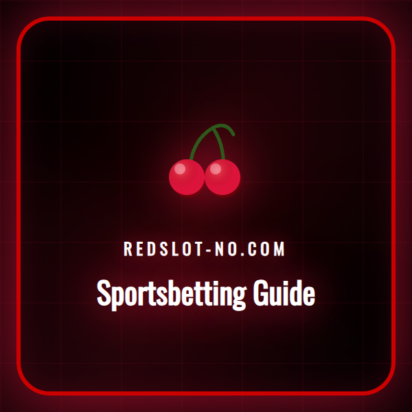 En detaljert infografikk som viser de ulike elementene i en sportsbetting guide for nybegynnere.